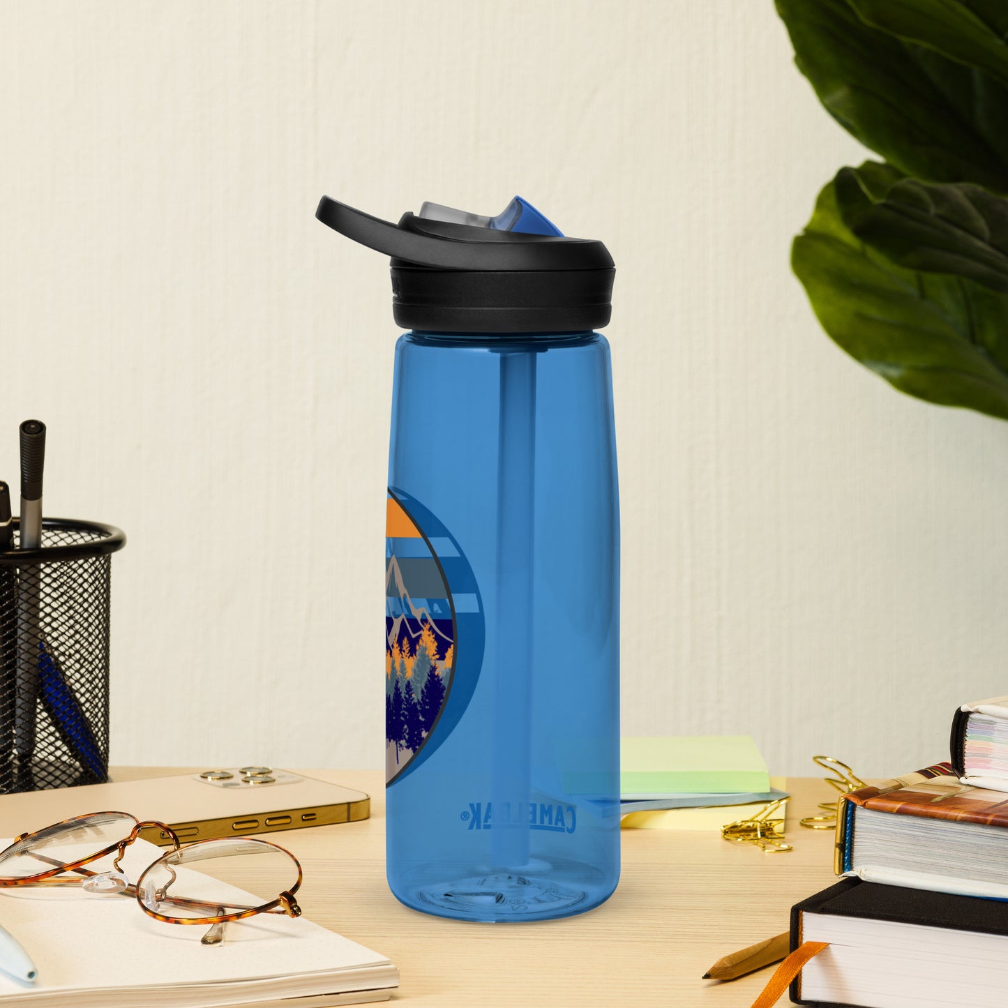 Alpine Sports water bottle