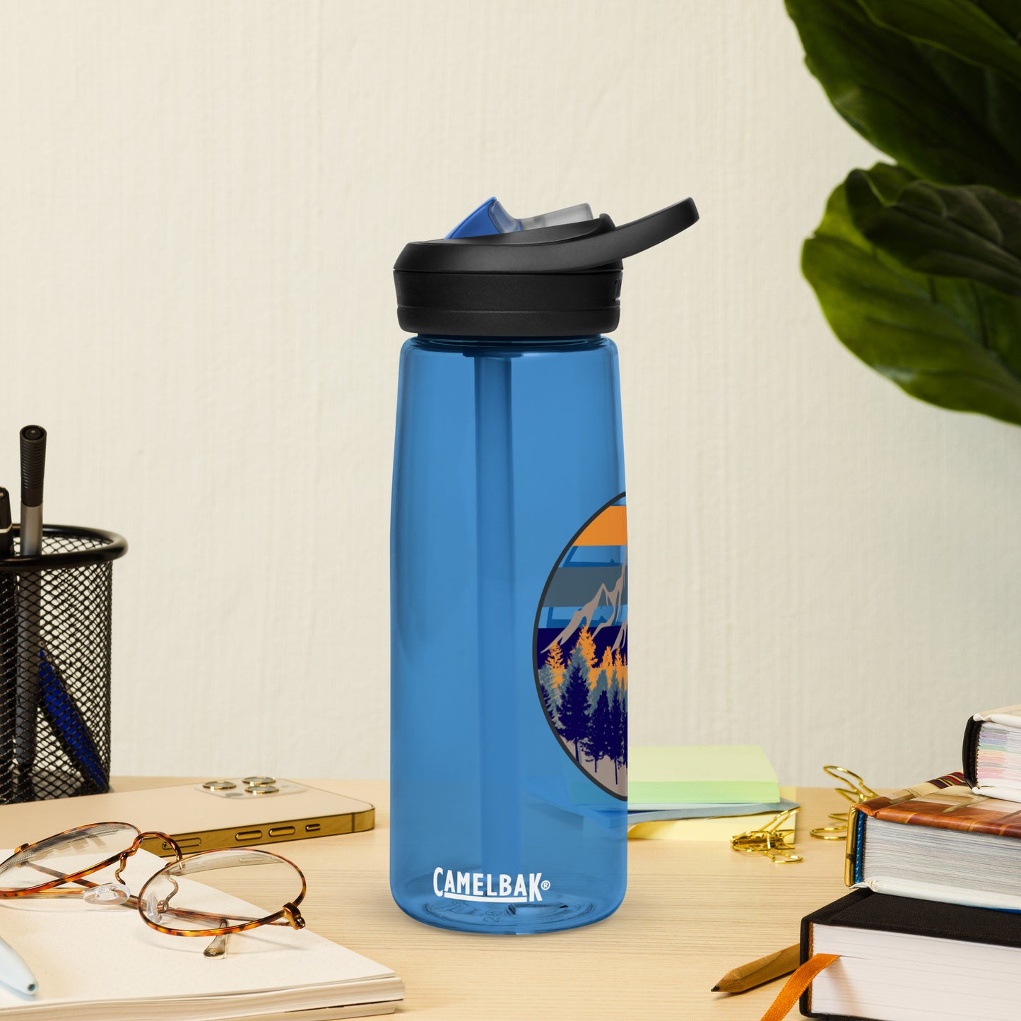 Alpine Sports water bottle