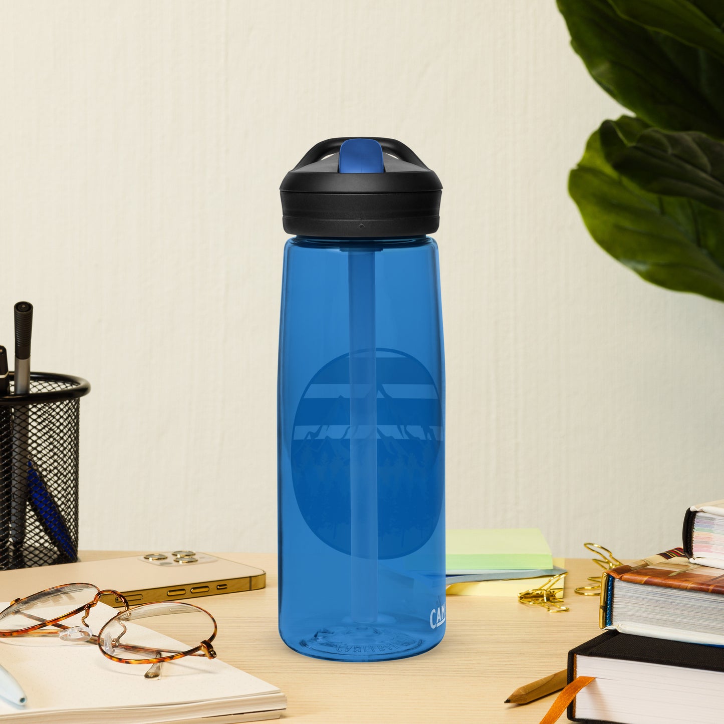 Alpine Sports water bottle